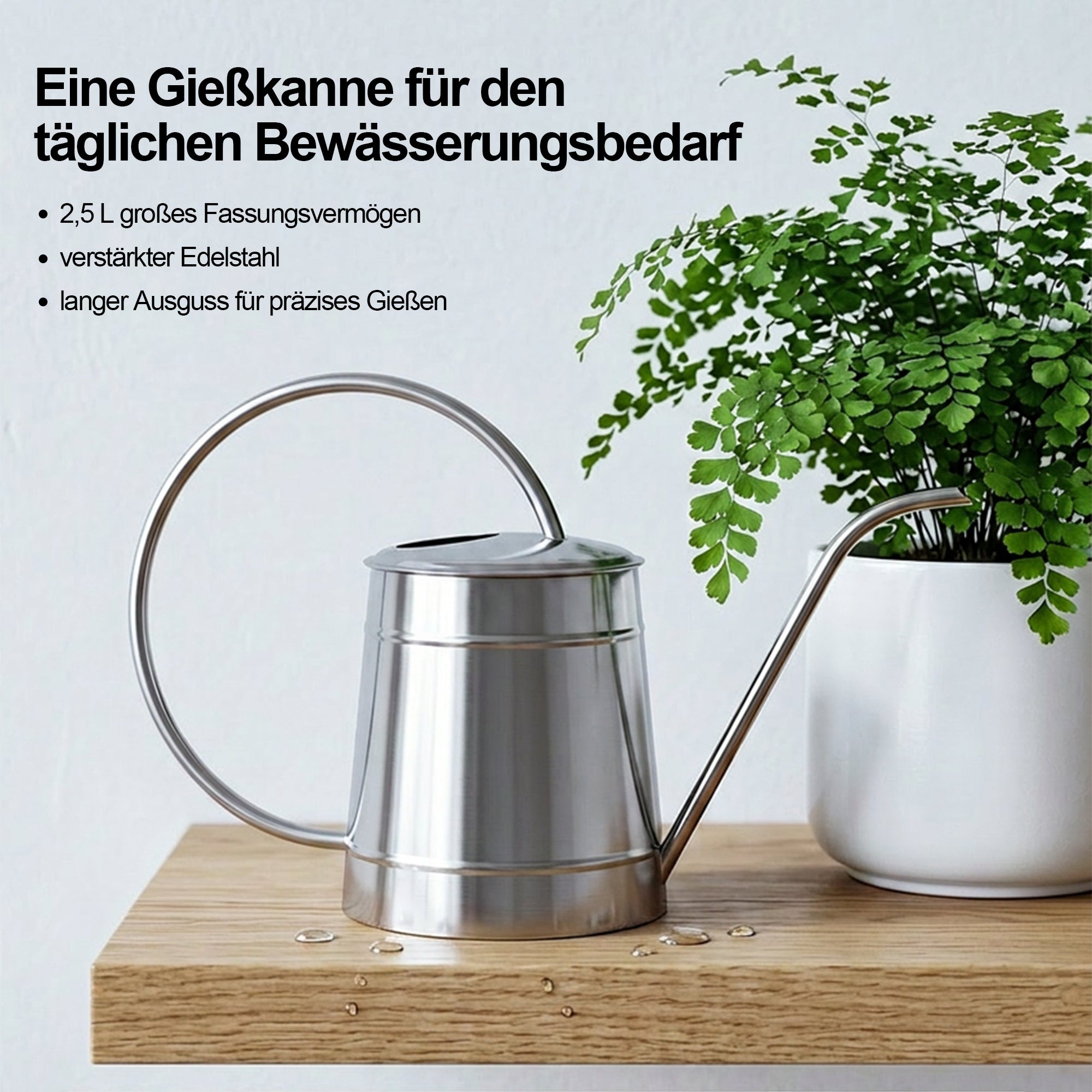 Langhals-Gießkanne für Garten und Balkon – Gießkanne für Zimmerpflanzen, Terrasse und Gartenbewässerung