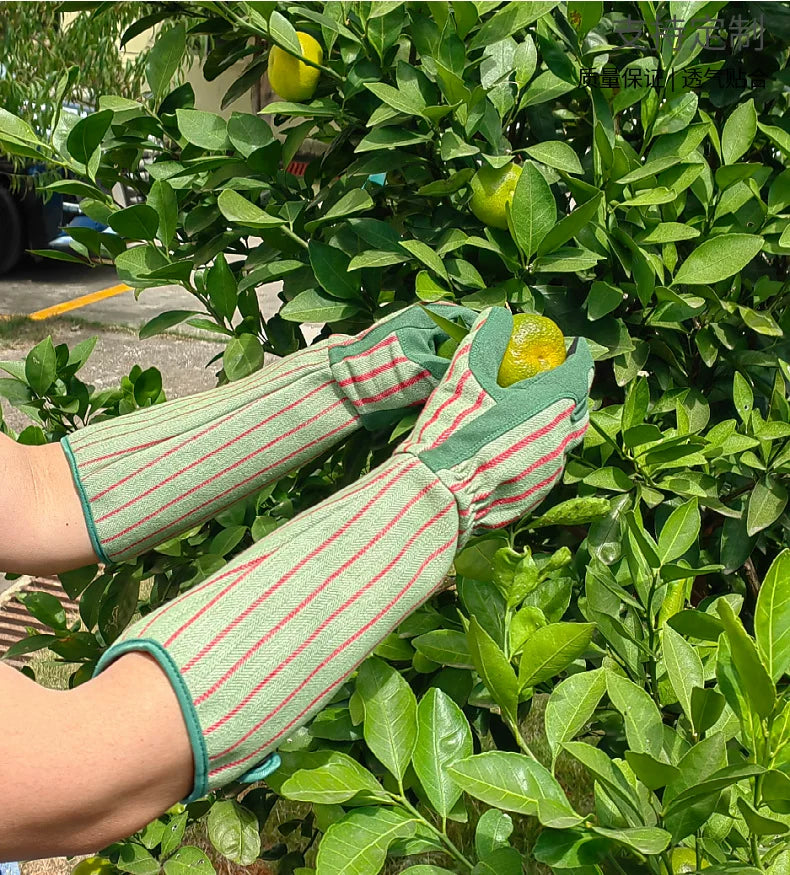 Gartenhandschuhe mit langem Schaft – stichfeste & rutschfeste Schutzhandschuhe für Gartenarbeit & Pflanzenpflege