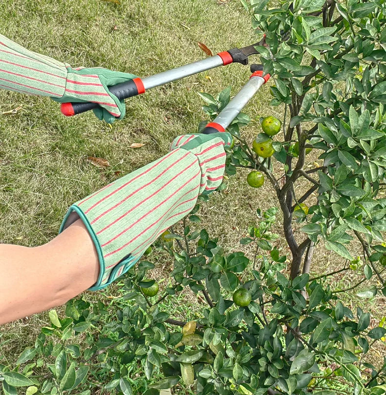 Gartenhandschuhe mit langem Schaft – stichfeste & rutschfeste Schutzhandschuhe für Gartenarbeit & Pflanzenpflege